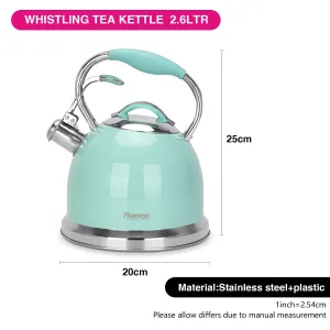 Fissman FELICITY Whistling Kettle 2.6 LTR AQUAMARINE  (Stainless Steel)