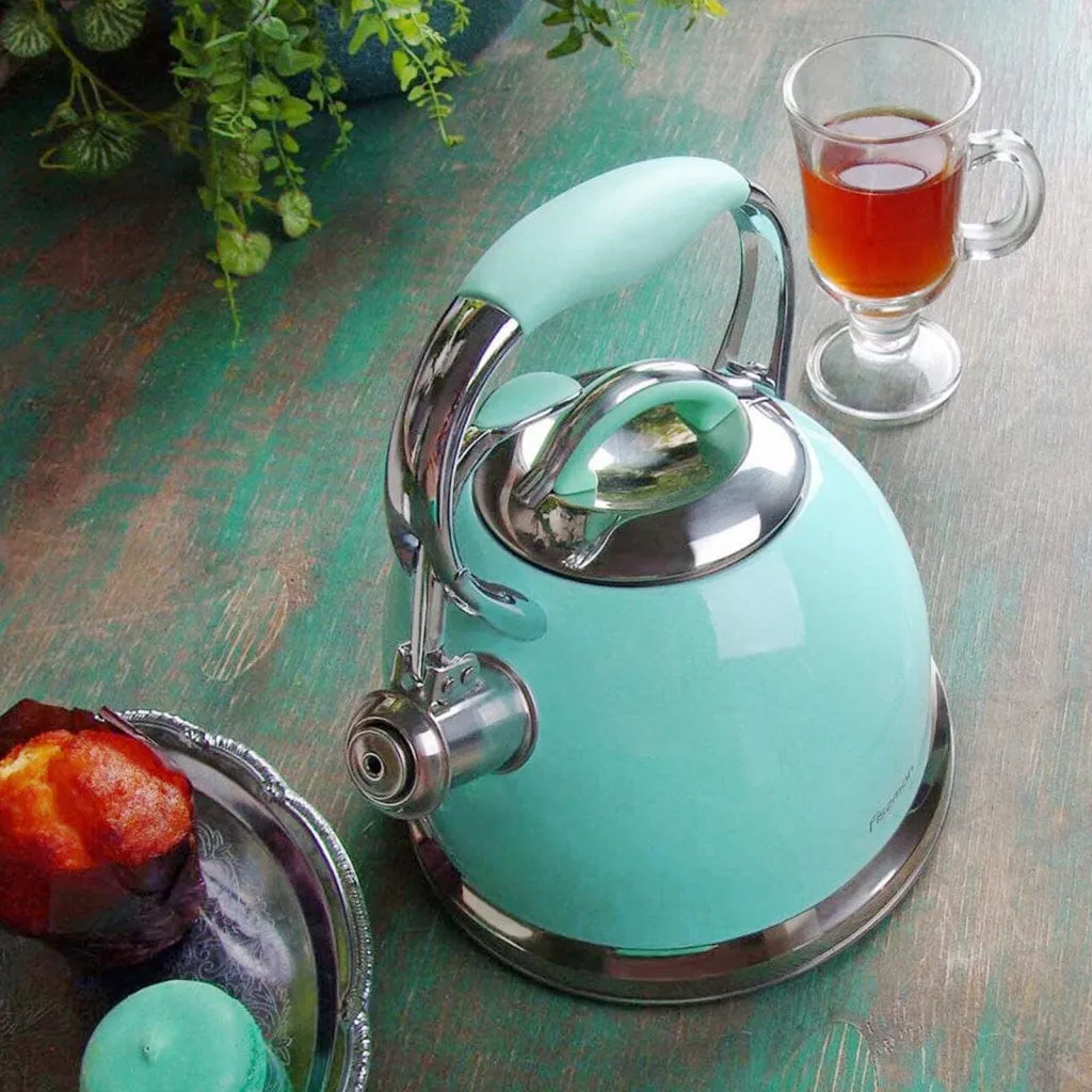 Fissman FELICITY Whistling Kettle 2.6 LTR AQUAMARINE  (Stainless Steel)