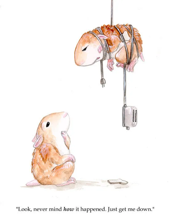 Hamster Art Prints